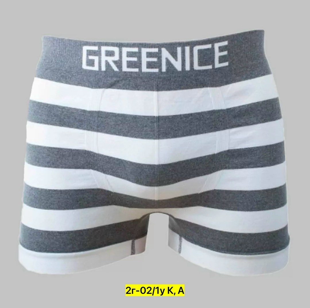 greenice трусы мужские,greenice трусы боксеры бесшовные мужские,greenice боксеры мужские бесшовные,комплект трусов боксеры greenice,greenice мужские трусы боксеры 2 штуки бесшовные