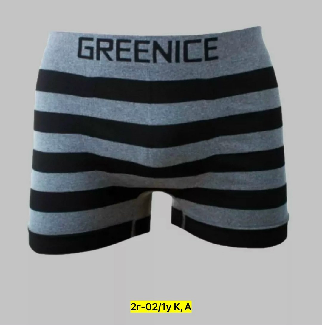 greenice трусы мужские,greenice трусы боксеры бесшовные мужские,greenice боксеры мужские бесшовные,комплект трусов боксеры greenice,greenice мужские трусы боксеры 2 штуки бесшовные