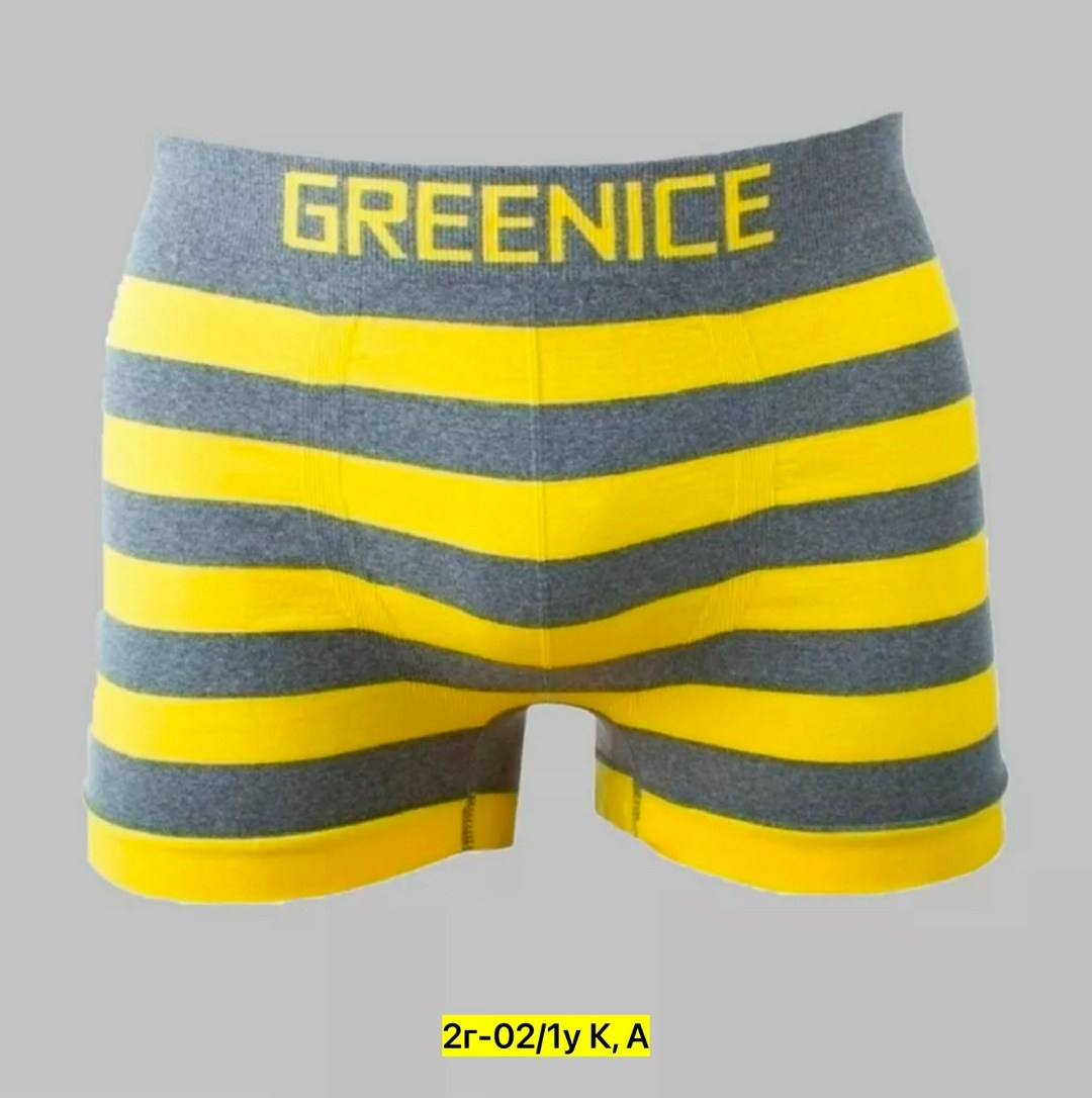 greenice трусы мужские,greenice трусы боксеры бесшовные мужские,greenice боксеры мужские бесшовные,комплект трусов боксеры greenice,greenice мужские трусы боксеры 2 штуки бесшовные