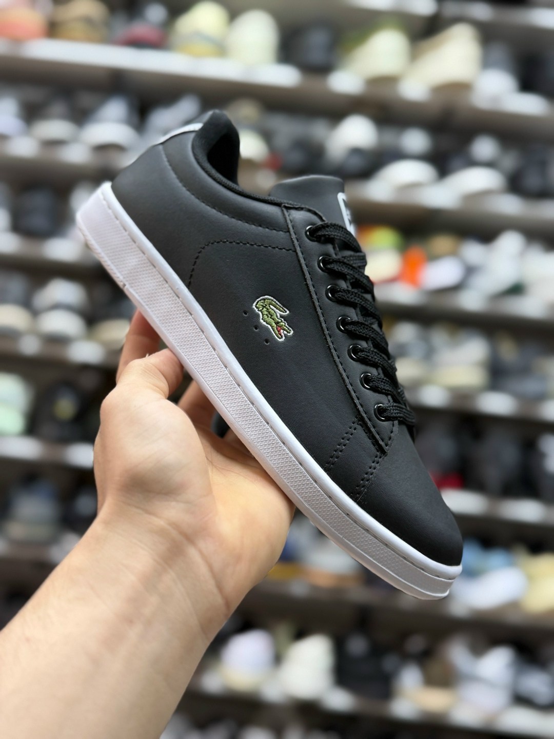 кроссовки lacoste carnabypro черный,кроссовки лакоста мужские,кроссовки на шнуровке lacoste черный,кеды lacoste carnaby evo bl 1,кроссовки lacoste