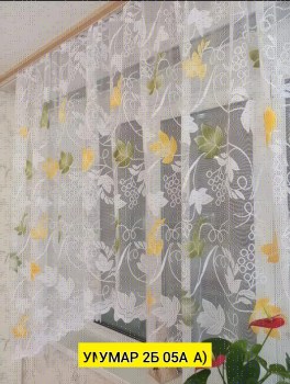 Одежда