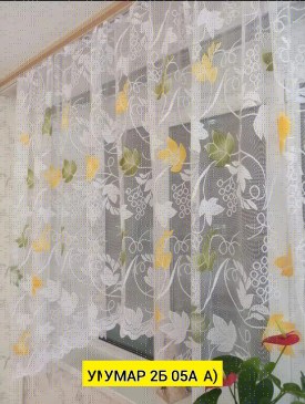 Одежда