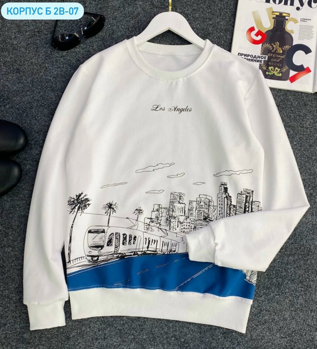 толстовки свитшот,свитшот мужская,кофта толстовка,мужские свитшоты,свитшот с длинными рукавами