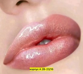 Одежда