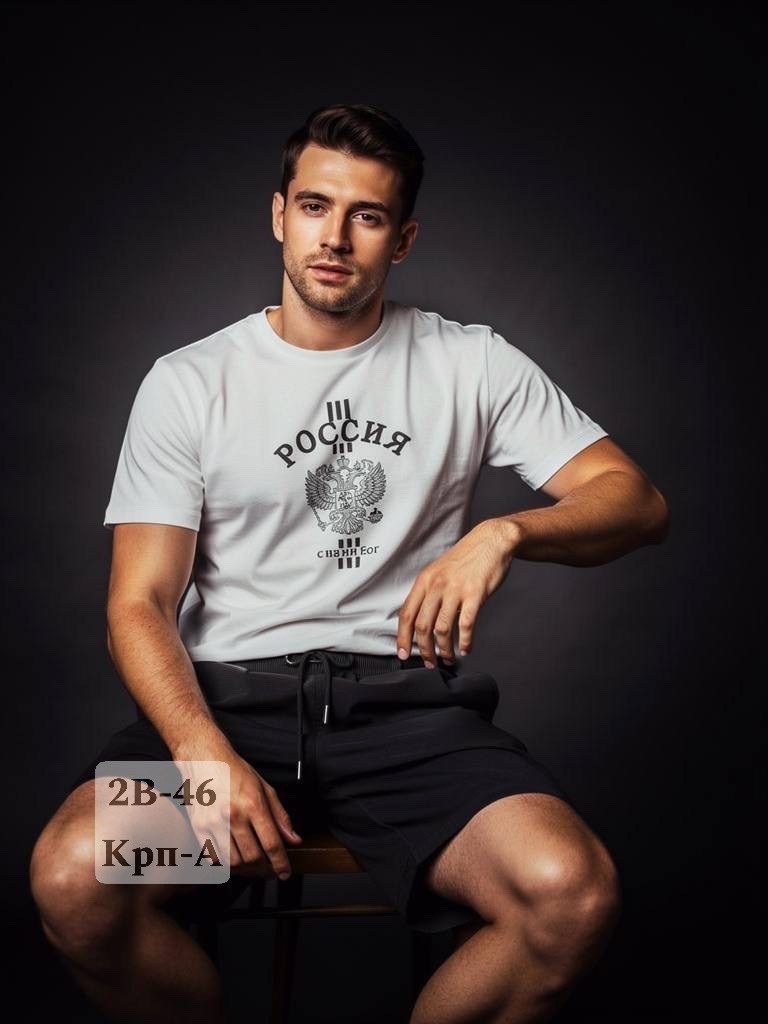 футболки мужские,футболка с гербом,футболка с гербом россии,футболка федерация бокса россии,футболка