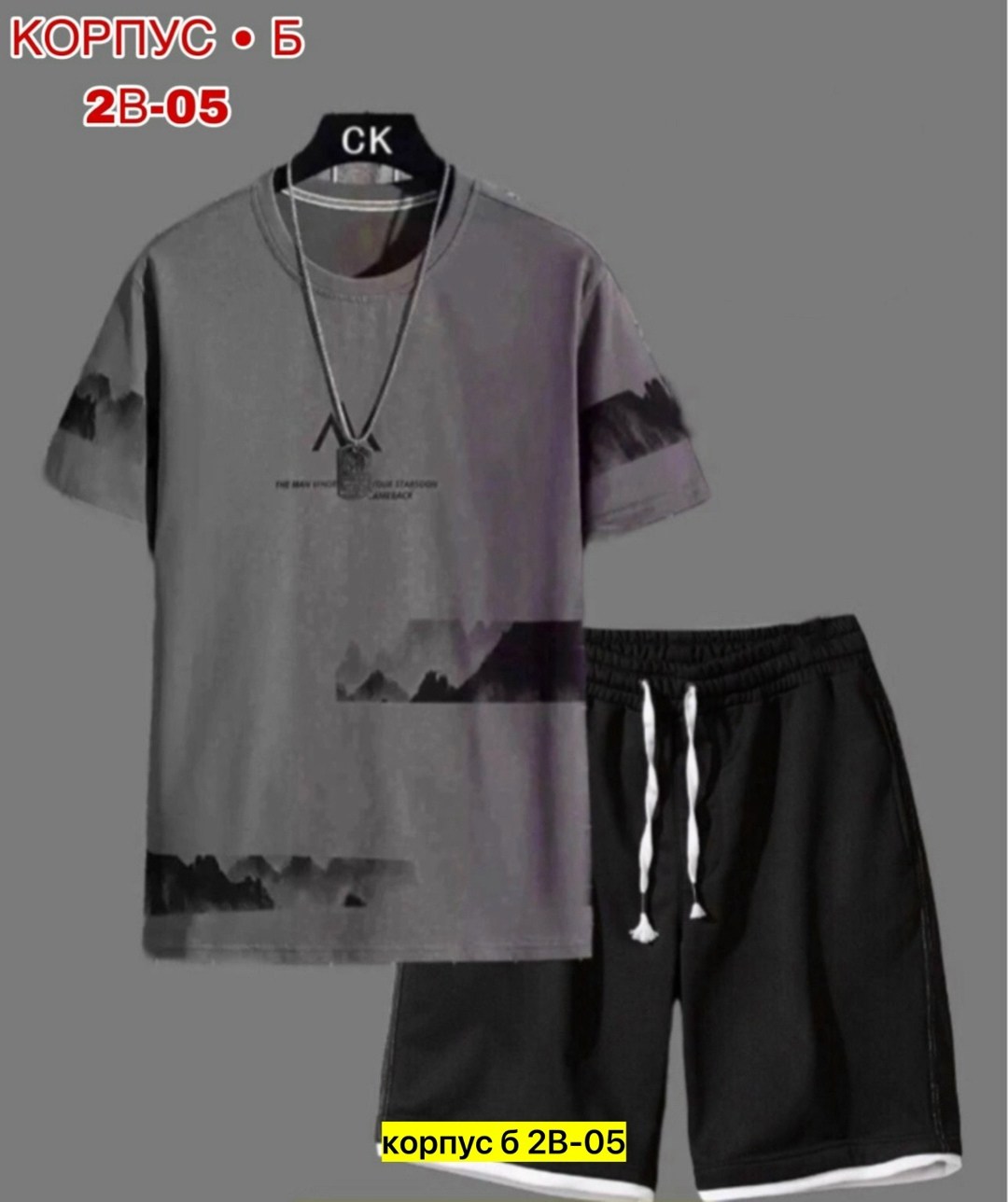 костюм с шортами и футболкой спортивный летний мужской,костюм спортивный мужской,футболки мужские с принтом,костюм спортивный летний с футболкой и шортами,костюм мужской