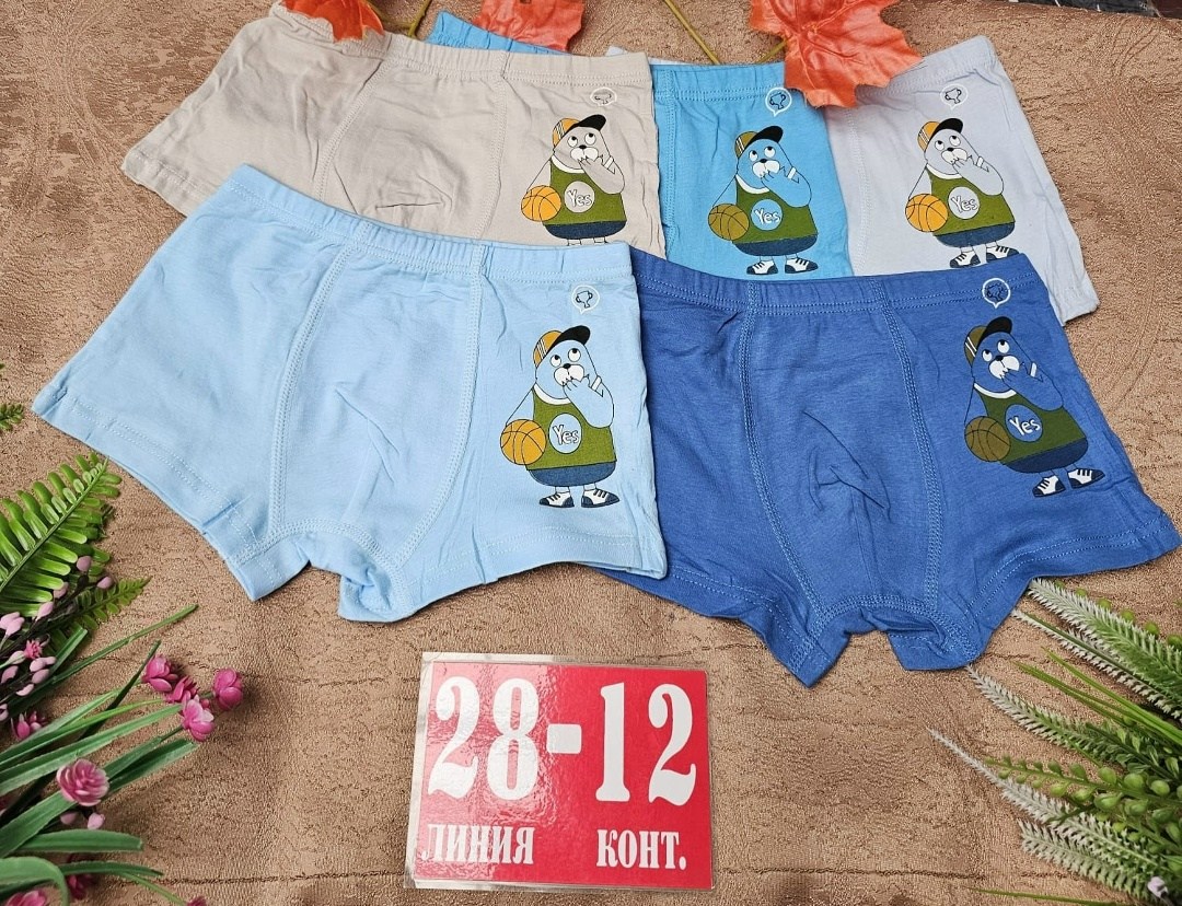 трусы для мальчиков,трусы для мальчика боксеры,трусы детские,трусы детские для мальчиков,комплект трусов