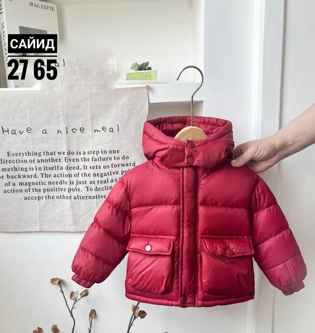 зимние куртки для мальчиков,демисезонная куртка,куртка для детей,пуховики для мальчиков,детский пуховик