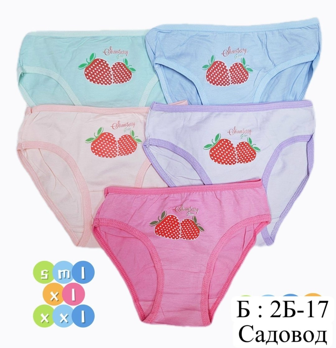 детские трусы для девочек,трусы для девочек,нижнее белье для девочек,детские трусики для девочек,детские трусы для девочек f8515 s (0-3 года)