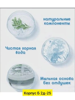 Одежда