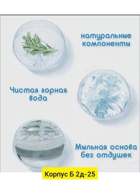 Одежда