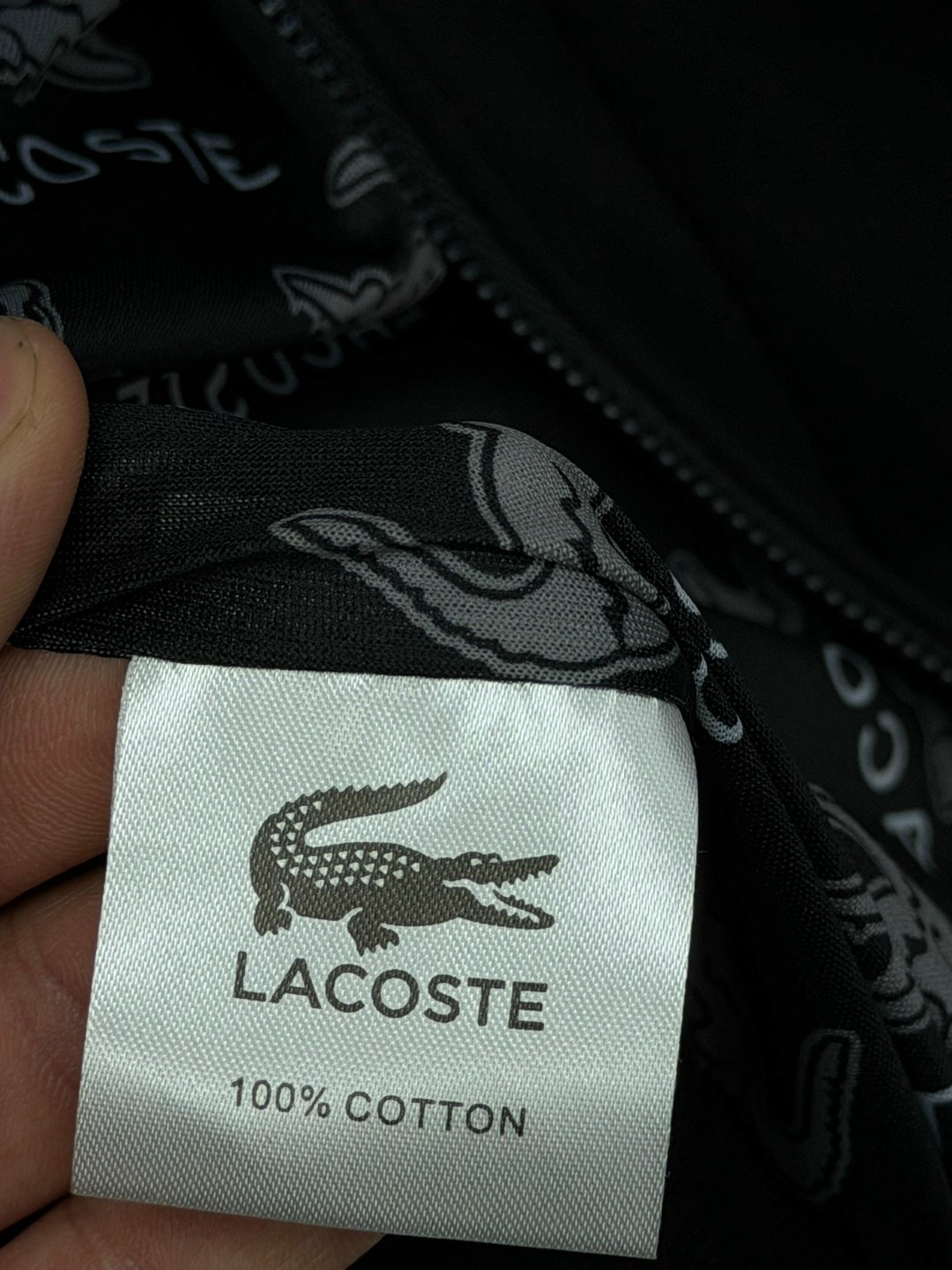 мужской спортивный костюм,спортивный костюм lacoste,спортивный костюм,спортивный костюм brunello cucinelli