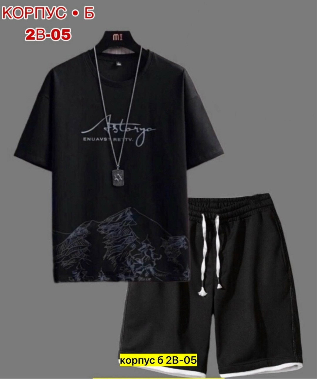 костюм с шортами и футболкой спортивный летний мужской,костюм спортивный мужской,футболки мужские с принтом,костюм спортивный летний с футболкой и шортами,костюм мужской