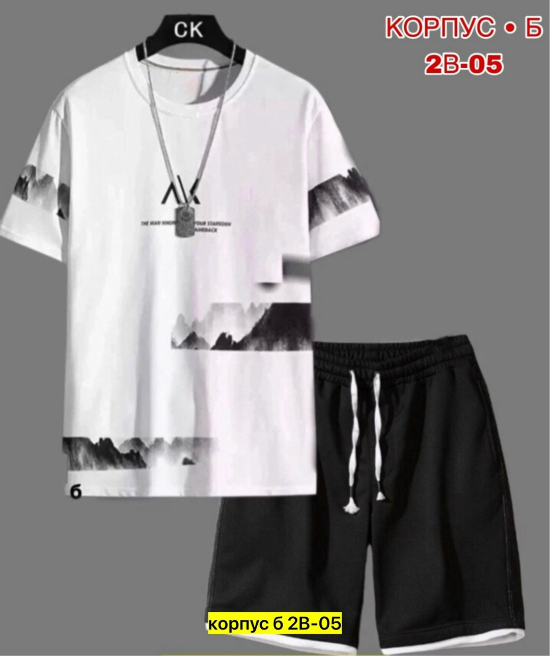 костюм с шортами и футболкой спортивный летний мужской,костюм спортивный мужской,футболки мужские с принтом,костюм спортивный летний с футболкой и шортами,костюм мужской