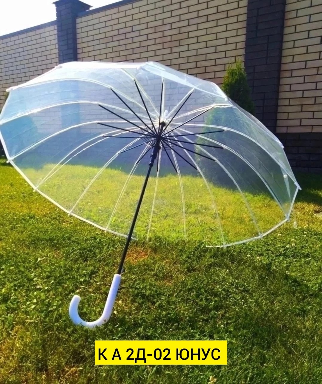 зонт прозрачный,прозрачный зонтик,зонт трость прозрачный,зонт,зонт зонт