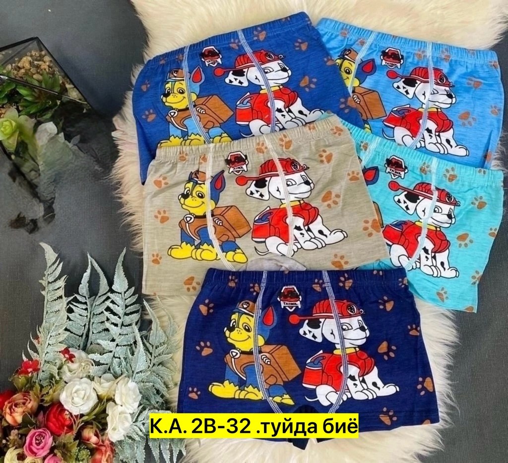 трусы на мальчика,шорты на мальчика,трусы на мальчика в упаковке,белье для мальчика,трусы детские