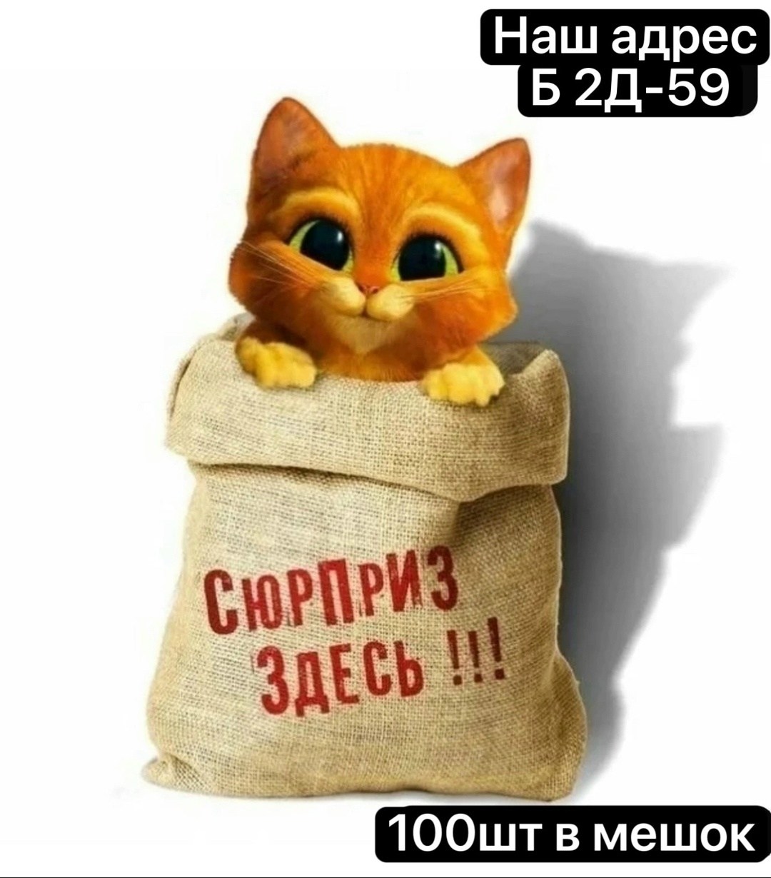 кот в мешке,сюрприз кот в мешке,своя игра кот в мешке,кот в мешке игра,мешок котик