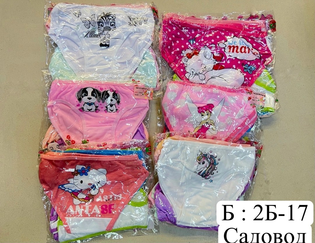 детские трусы для девочек,трусы для девочек,нижнее белье для девочек,детские трусики для девочек,детские трусы для девочек f8515 s (0-3 года)