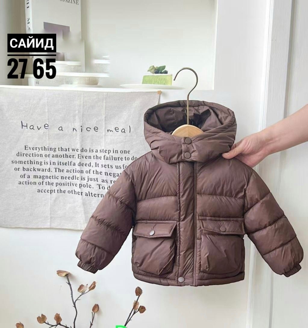 зимние куртки для мальчиков,демисезонная куртка,куртка для детей,пуховики для мальчиков,детский пуховик