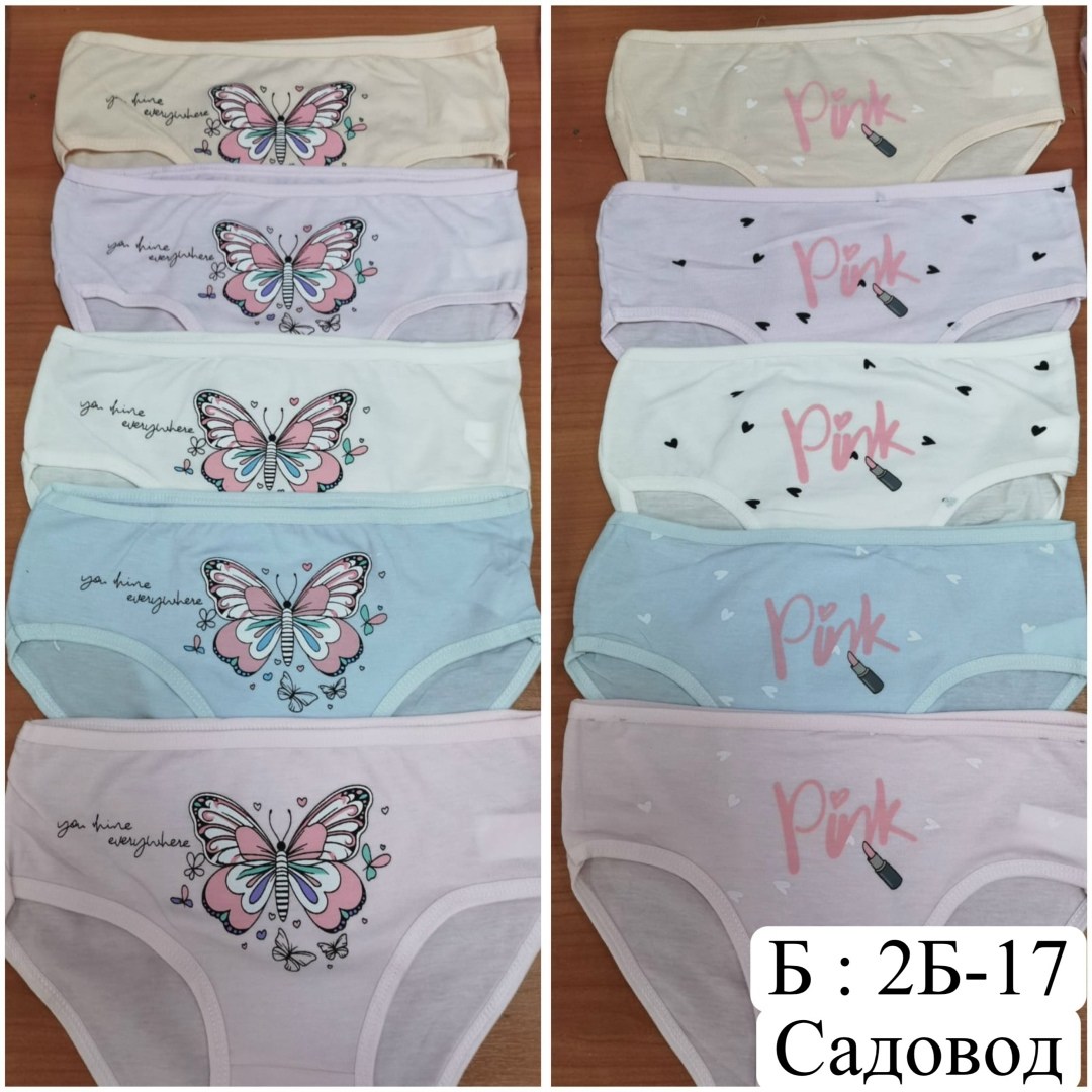 детские трусы для девочек,трусы для девочек,нижнее белье для девочек,детские трусики для девочек,детские трусы для девочек f8515 s (0-3 года)