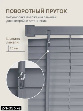 Одежда