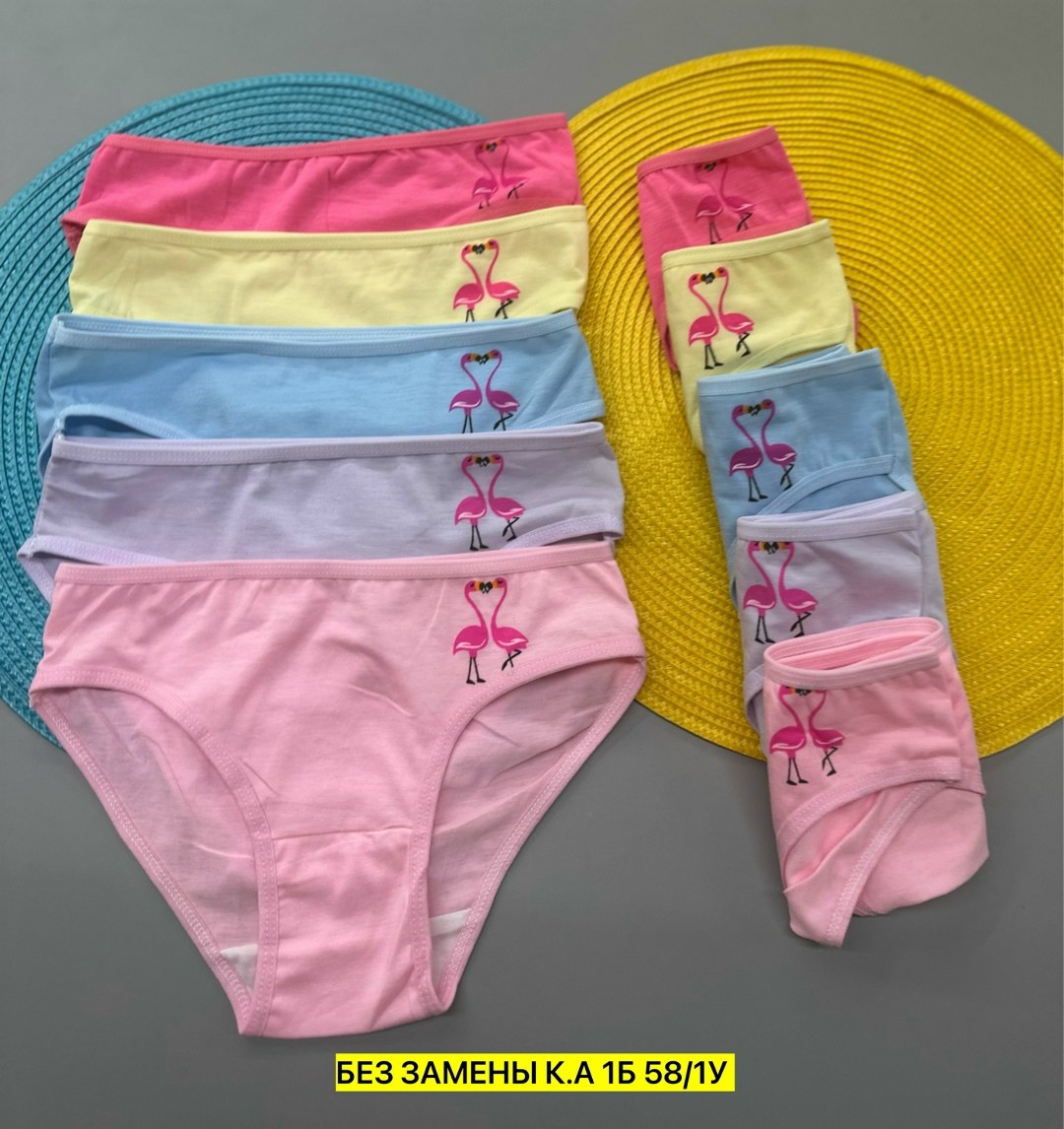 детские трусы для девочек,трусы для девочки donella,трусы для девочек,детские трусы,трусики для девочек