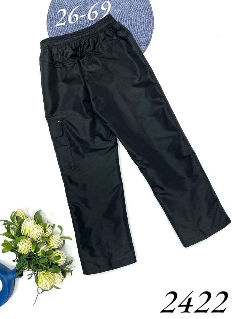 брюки для мальчика,брюки детские на флисе,брюки на флисе для мальчика,штаны демисезонные,брюки демисезонные