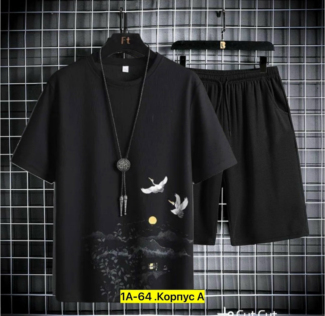 костюм мужской шорты и футболка,костюм спортивный с шортами и футболки,спортивные мужские костюмы,спортивные костюм,костюм спортивный летний с футболкой и шортами