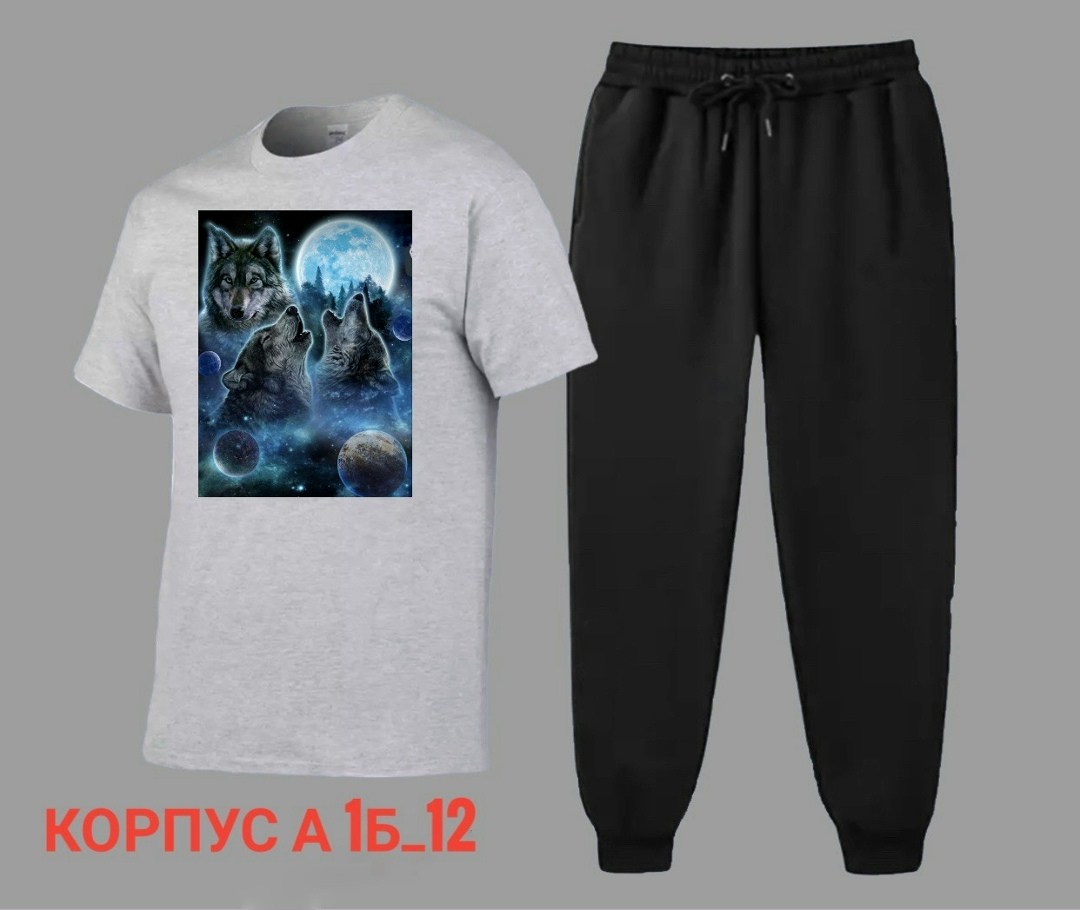 костюм спортивный мужской,костюм мужской,спортивные костюм,костюм для мужчин,костюм двойка