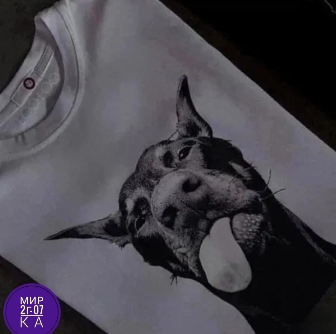 футболки женские с принтом,женская футболка,футболки и майки,футболки оверсайз с принтами,футболки оверсайз