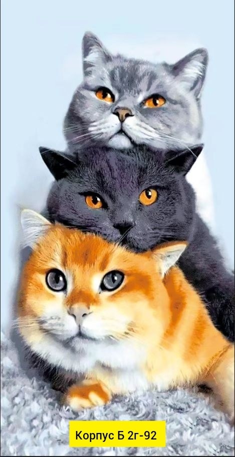 вафельное полотенце гусь обнимусь,полотенце банное гусь обнимусь серое fabricprofi,вафельное полотенце гусь,птица гусь,полотенце гусь обнимусь