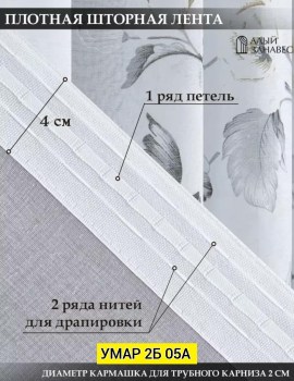 Одежда