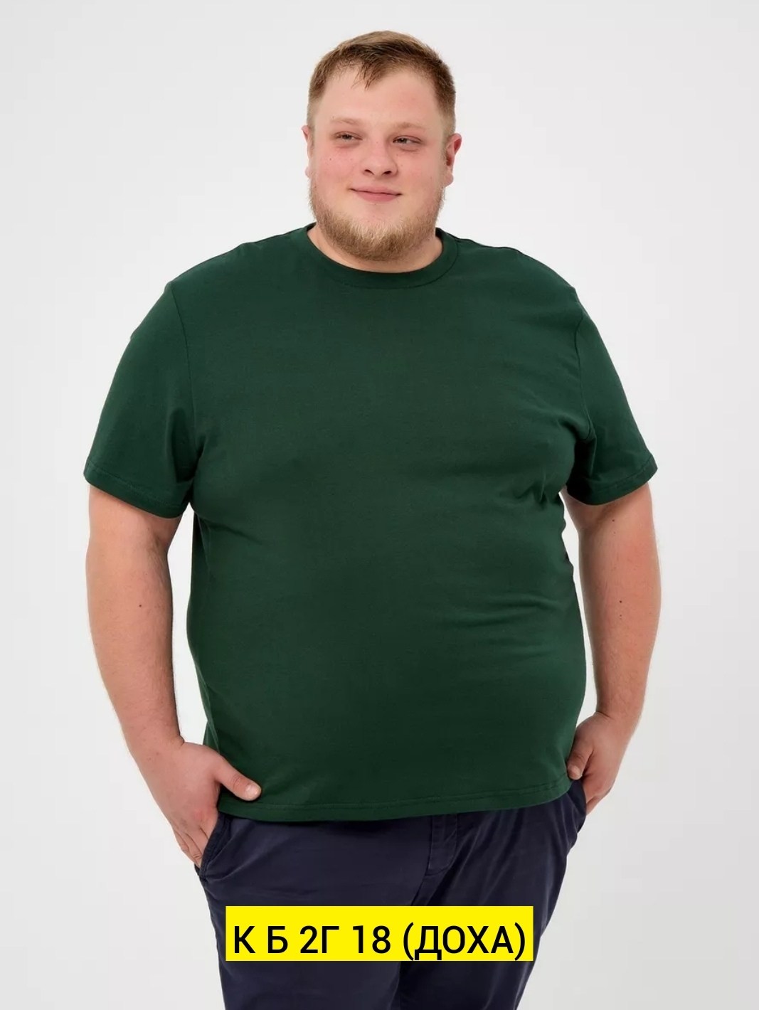 футболки мужские,мужская футболка большие размеры,футболка мужская однотонная больших размеров,футболка starkcotton большие размеры 1,футболка поло мужская