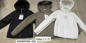 Верхняя одежда