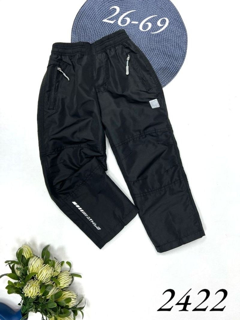 брюки для мальчика,брюки детские на флисе,брюки на флисе для мальчика,штаны демисезонные,брюки демисезонные