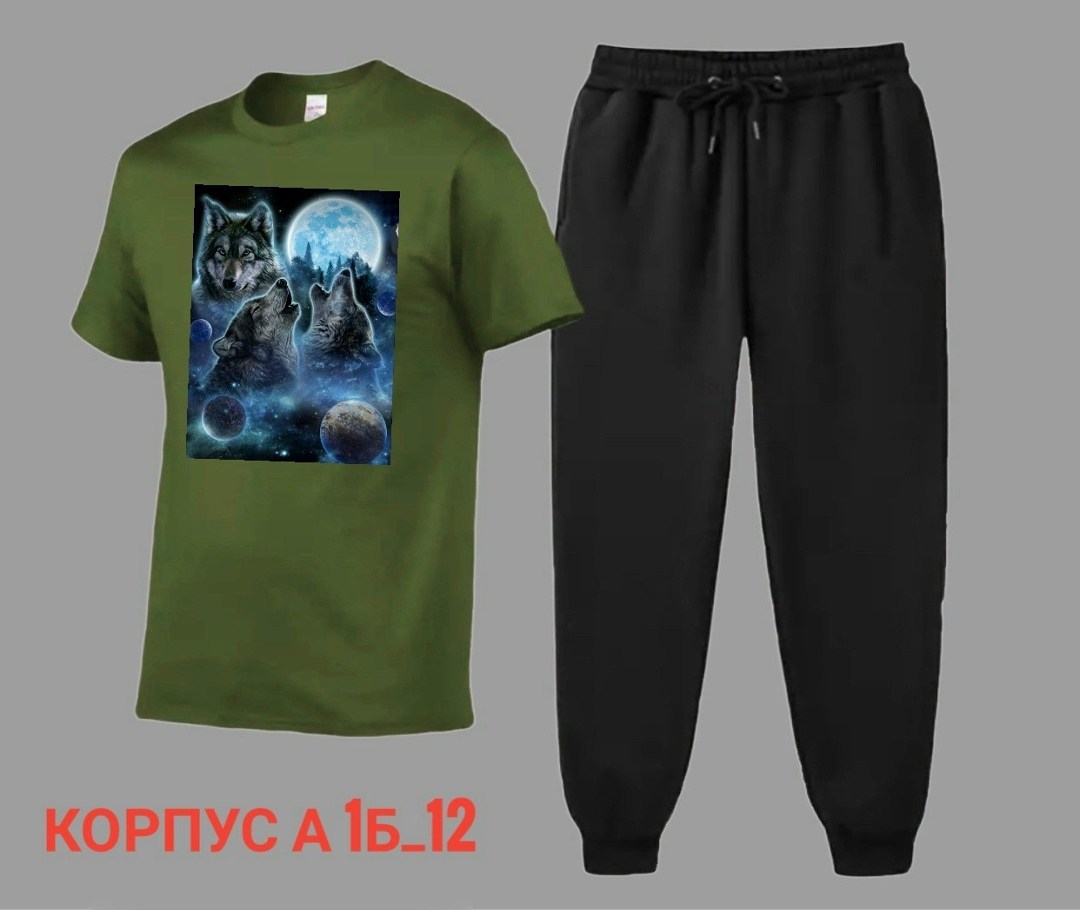 костюм спортивный мужской,костюм мужской,спортивные костюм,костюм для мужчин,костюм двойка