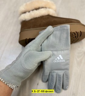 Одежда
