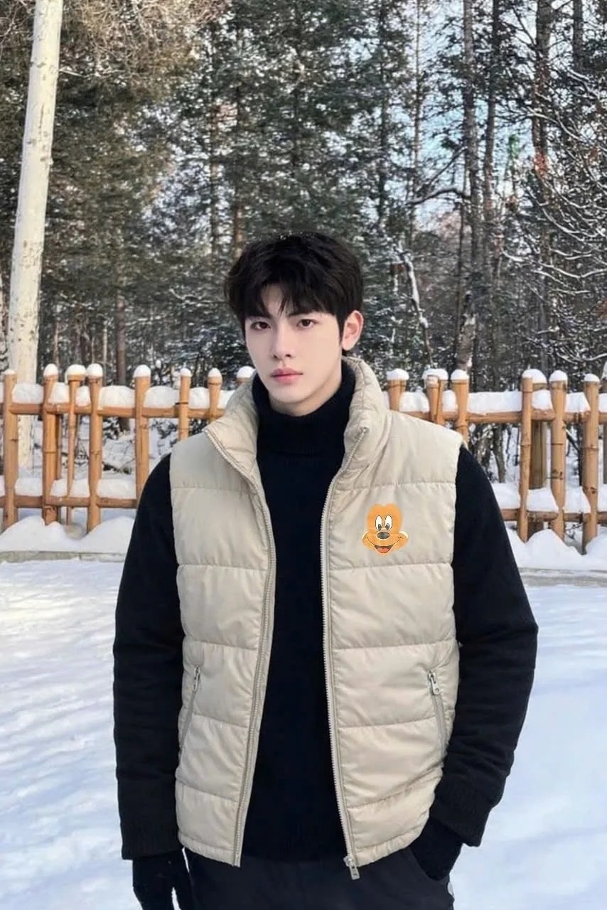 жилет мужской,жилет,жилетка,мужской утепленный жилет,жилет утепленная