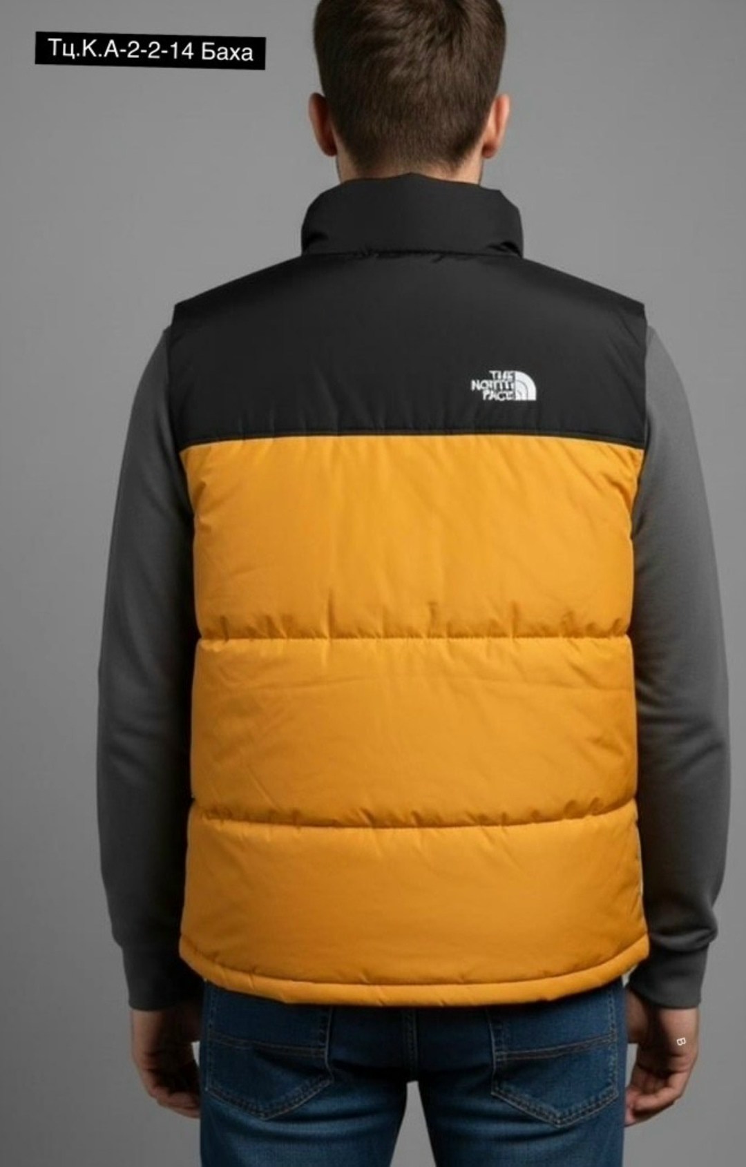 the north face 1996 retro nuptse,мужской жилет the north face,безрукавка мужская,жилет the north face 1996 retro nuptse,жилетка мужская