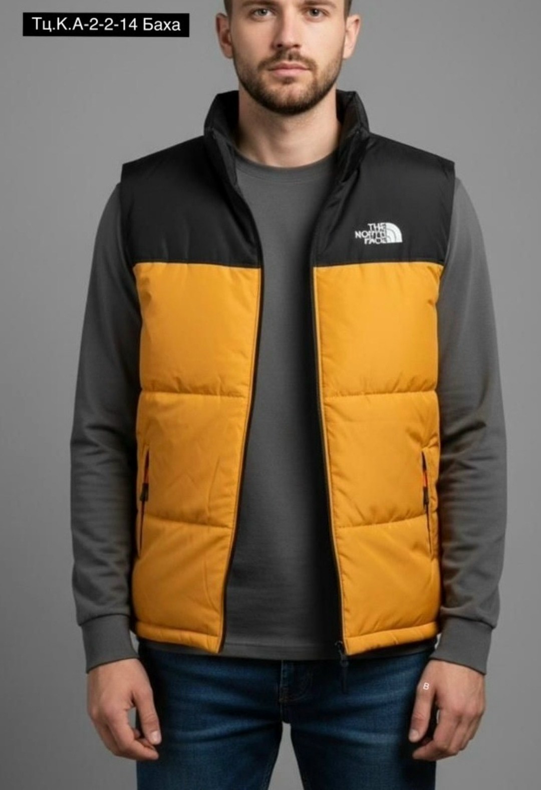 the north face 1996 retro nuptse,мужской жилет the north face,безрукавка мужская,жилет the north face 1996 retro nuptse,жилетка мужская