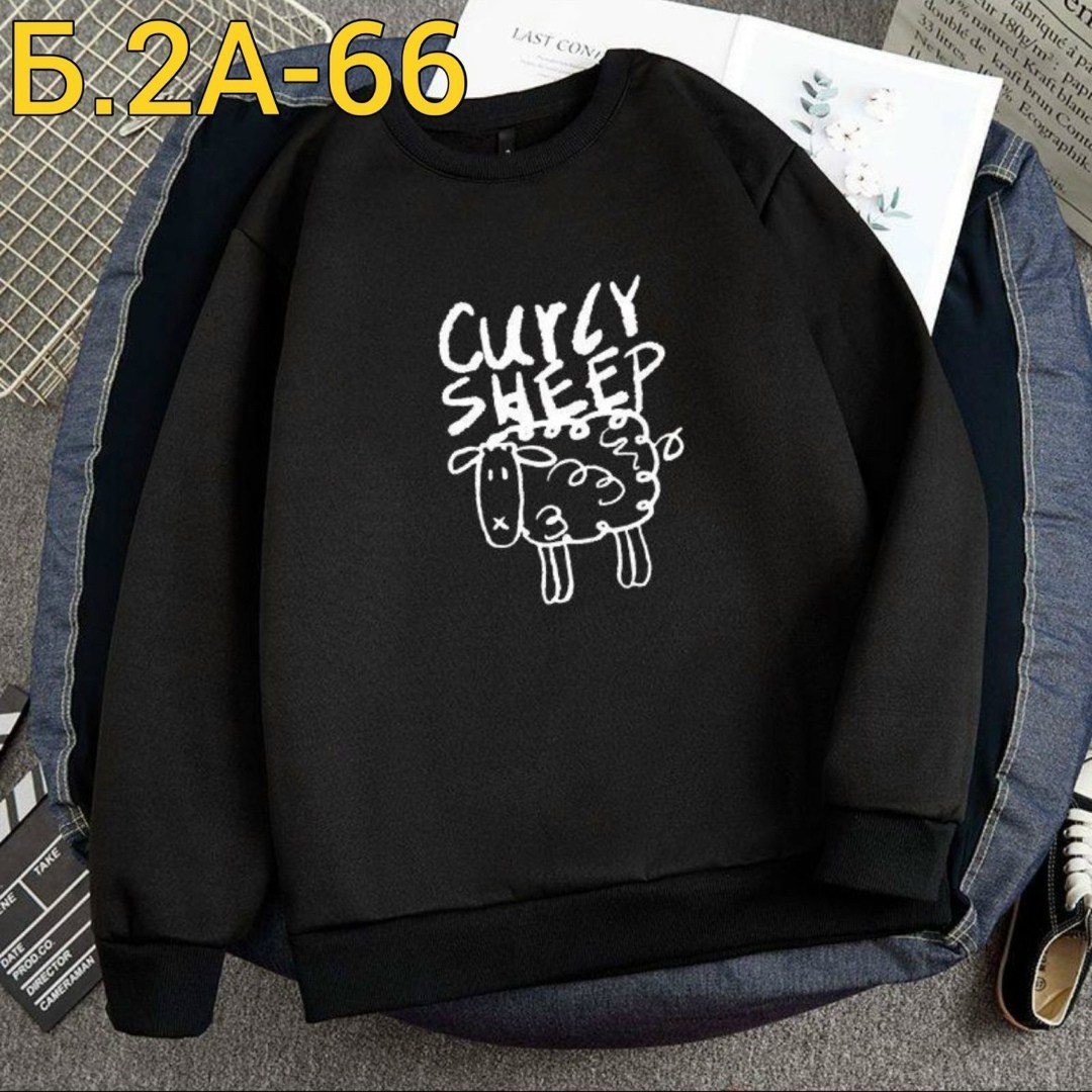 повседневный свитшот,свитшот модный,стильный свитшот,универсальный свитшот,мужские свитшоты