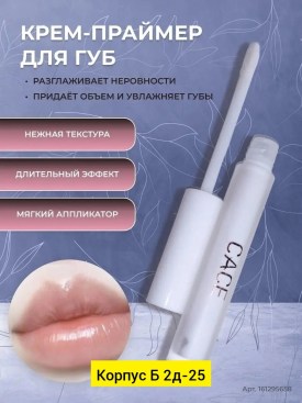 Одежда