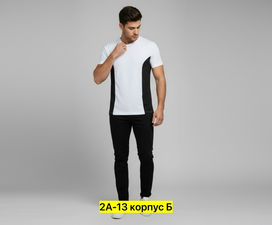 белая футболка мужская,мужская футболка,футболки и майки,футболки модные,футболки для мужчин