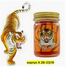 Одежда