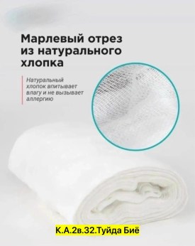 Одежда