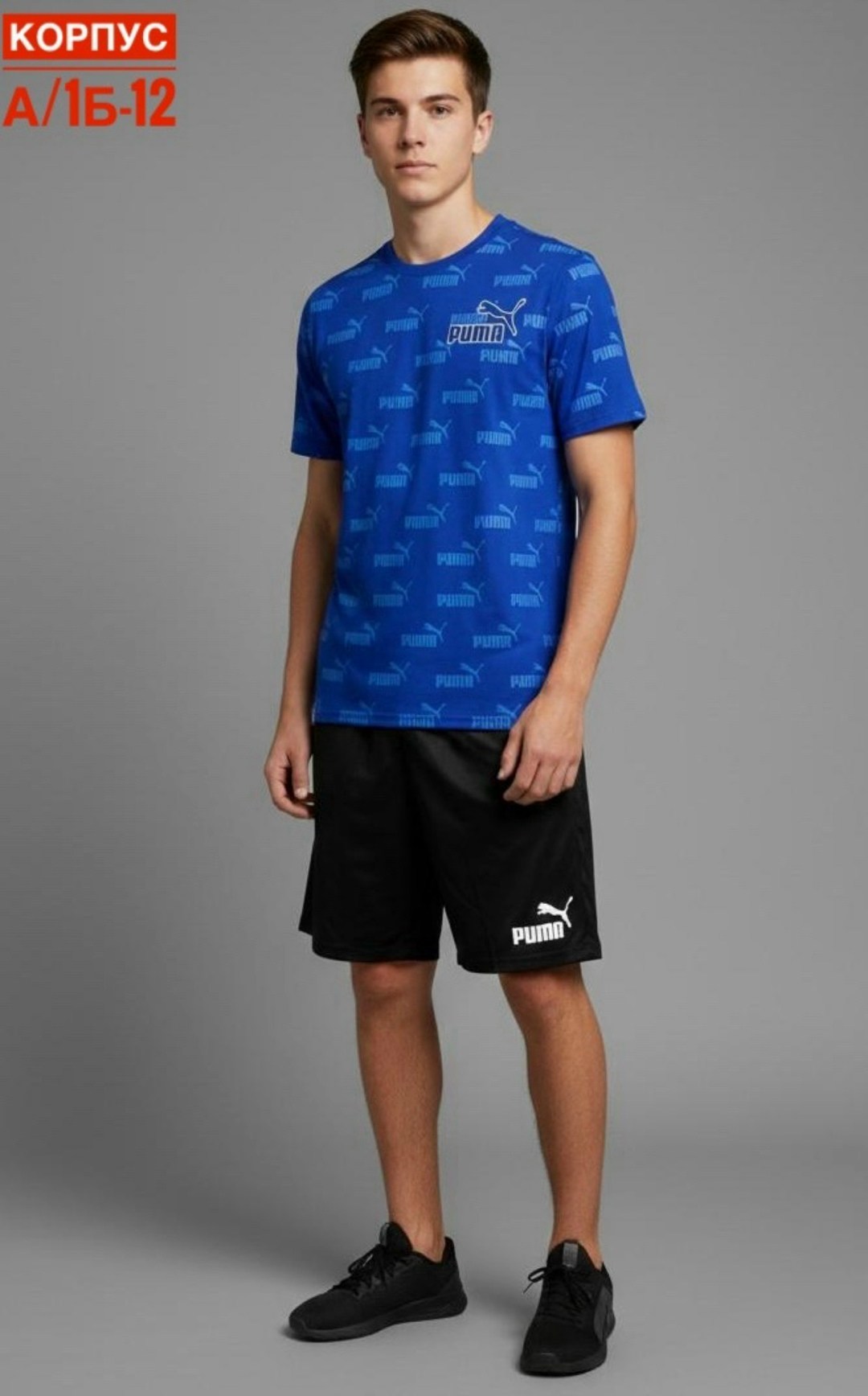 мужская футболка puma,мужская футболка,футболка,puma футболка