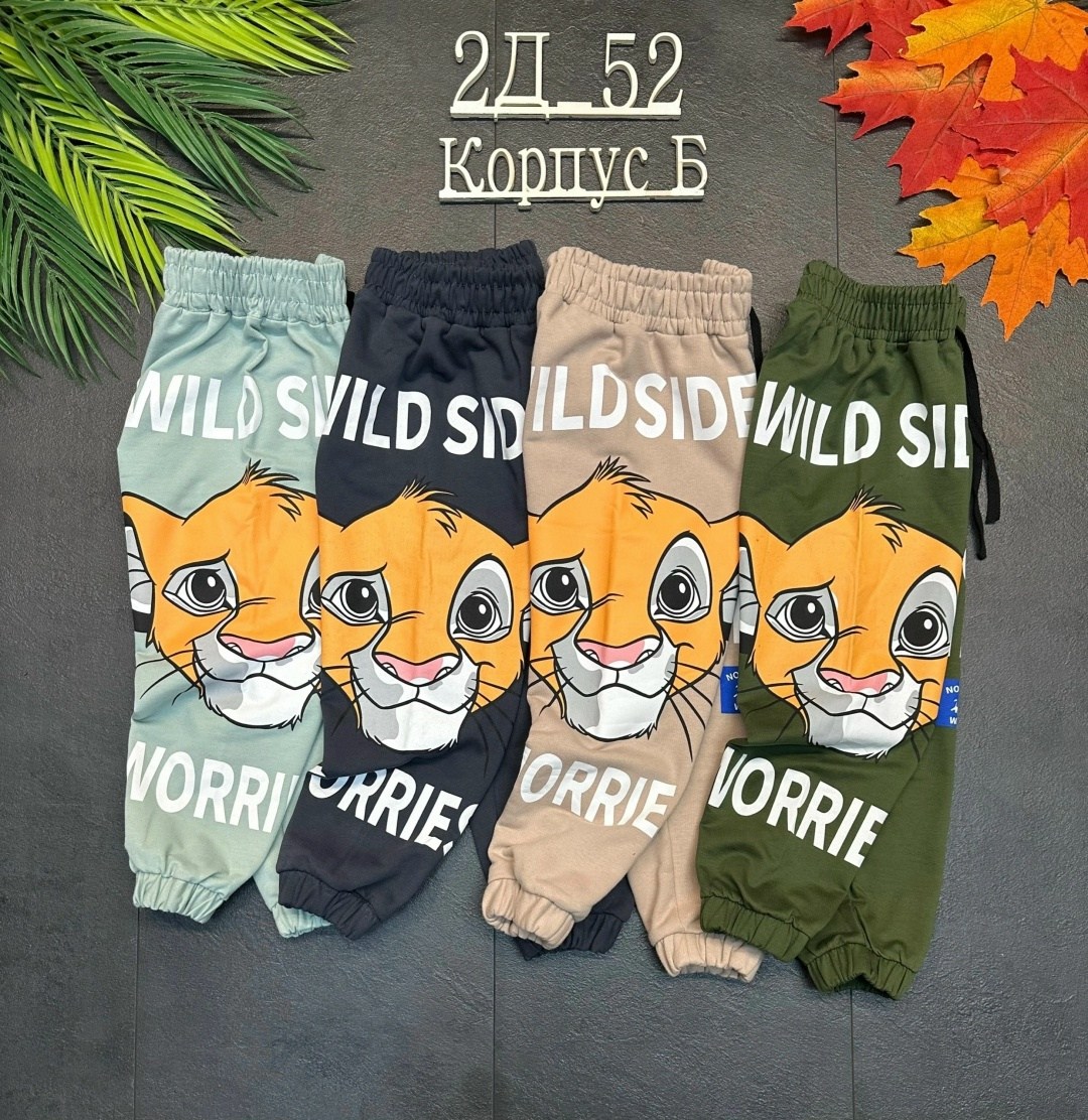 штаны для мальчика,брюки детские, ,брюки для мальчика,детские штаны