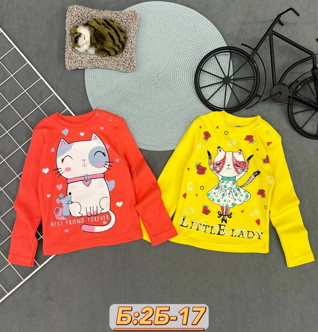 cвитшот для девочки,толстовка свитшот для девочки,кофта для девочки,детская кофта,кофта свитшот для девочек