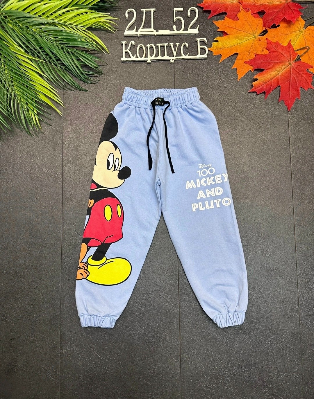 штаны для мальчика, ,детские брюки,детские штаны,брюки для мальчиков