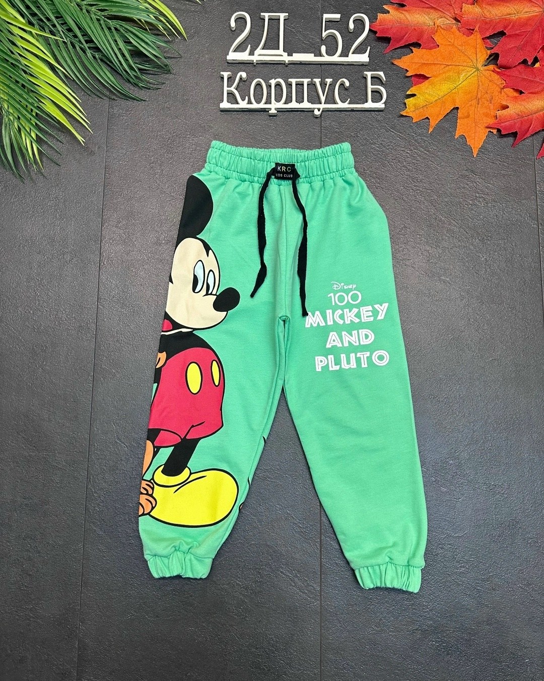 штаны для мальчика, ,детские брюки,детские штаны,брюки для мальчиков